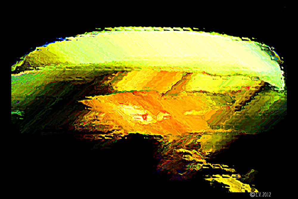 Escape